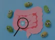 Microbioom-hoe-ontstaan-bacterieen-in-de-darmen