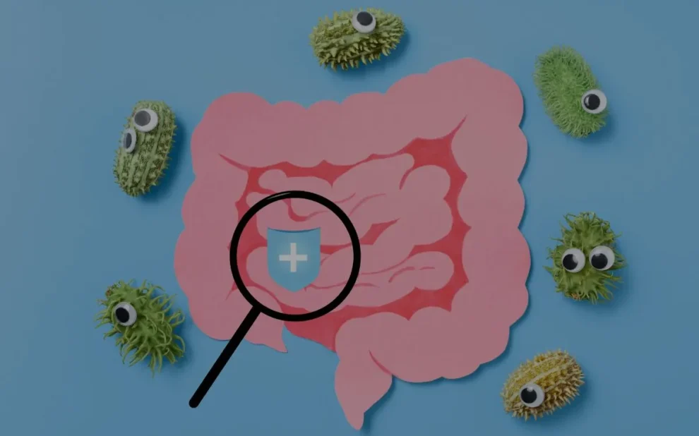 Microbioom-hoe-ontstaan-bacterieen-in-de-darmen