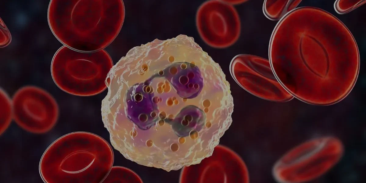 obesitas en vatbaarheid voor ziektes