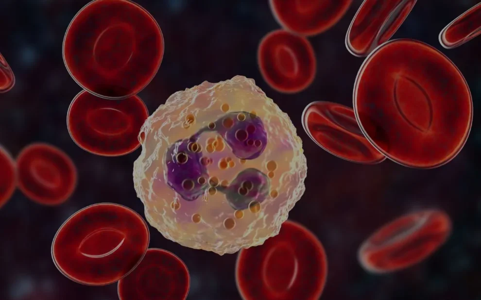 obesitas en vatbaarheid voor ziektes